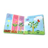 Little Apple Tree (An illustrated story about the life-cycle of an apple tree)