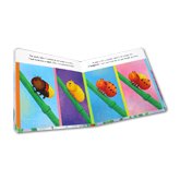 Little Ladybird (An illustrated story about the life-cycle of a ladybird)