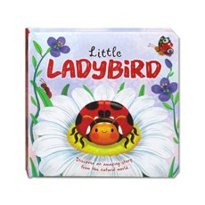 Little Ladybird (An illustrated story about the life-cycle of a ladybird)