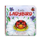 Little Ladybird (An illustrated story about the life-cycle of a ladybird)