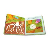 Little Mushroom (An illustrated story about the life-cycle of an Mushroom)