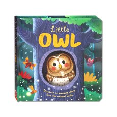 Little Owl (An illustrated story about the life-cycle of an owl)