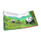Baby Panda's Adventure Board Book