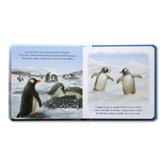 Penguin's Perfect Pebble Board Book