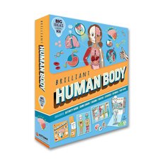 Brilliant Human Body Big Ideas Learning Box