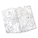 Disneyland Park California Colouring Book 
