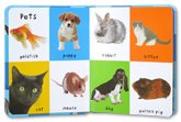 First 100 Animals Board Book 