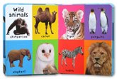 First 100 Animals Board Book 