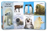 First 100 Animals Board Book 