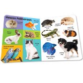 Bilingual 100 Kata Pertama Hewan Kendaraan Board Book (2 bahasa: Bhs Indonesia & Inggris)