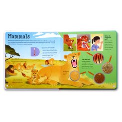 Amazing Animals Lift the Flap Board Book Over 60 Flaps!