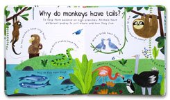 Usborne Lift-the-flap First Questions and Answers - Why Do Tigers Have Stripes? (with lots of flaps to lift) 