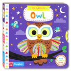 My Magical Owl (Push Pull Slide Board Book)