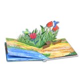 Birds Pop Up Book 