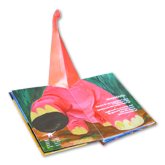 Dino Pop Up Book