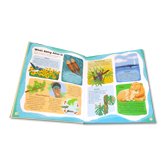 Curiosity Club Natural World- Over 250 amazing facts about the world around us