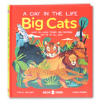 A Day In The Life Big Cats Book