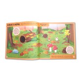 Bugs and Nature - Stickers and Activities for little explorers! (Explore and Learn)