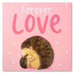 Forever Love Story book