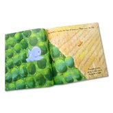 Little Chick picture story book