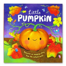 Little Pumpkin picture story book