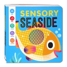 Sensory Seaside Board Book (See, Feel, Hear, Move, Learn)